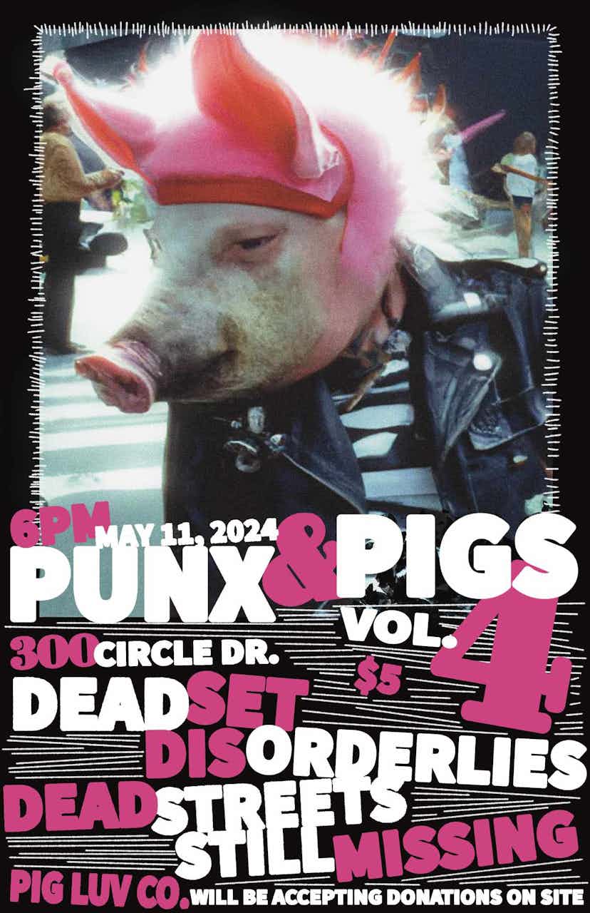 Poster for Punx & Pigs